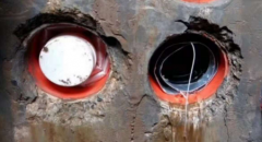 ᘌ(du)lF(xin)ĳЃ(ni)Tα(yng)